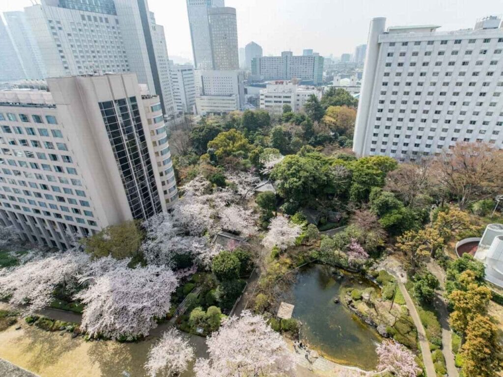 高輪 花香路（グランドプリンスホテル高輪内）内にある日本庭園の桜が満開